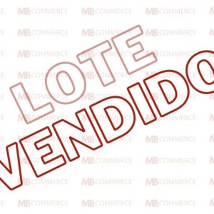 LOTE DE VINHOS