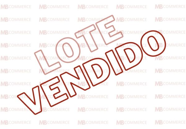 LOTE DE VINHOS