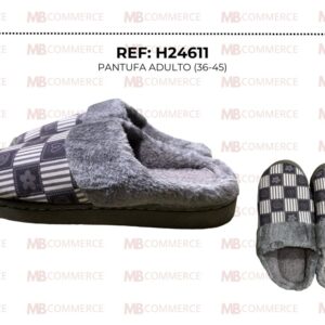 H24611
