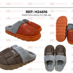 H24616